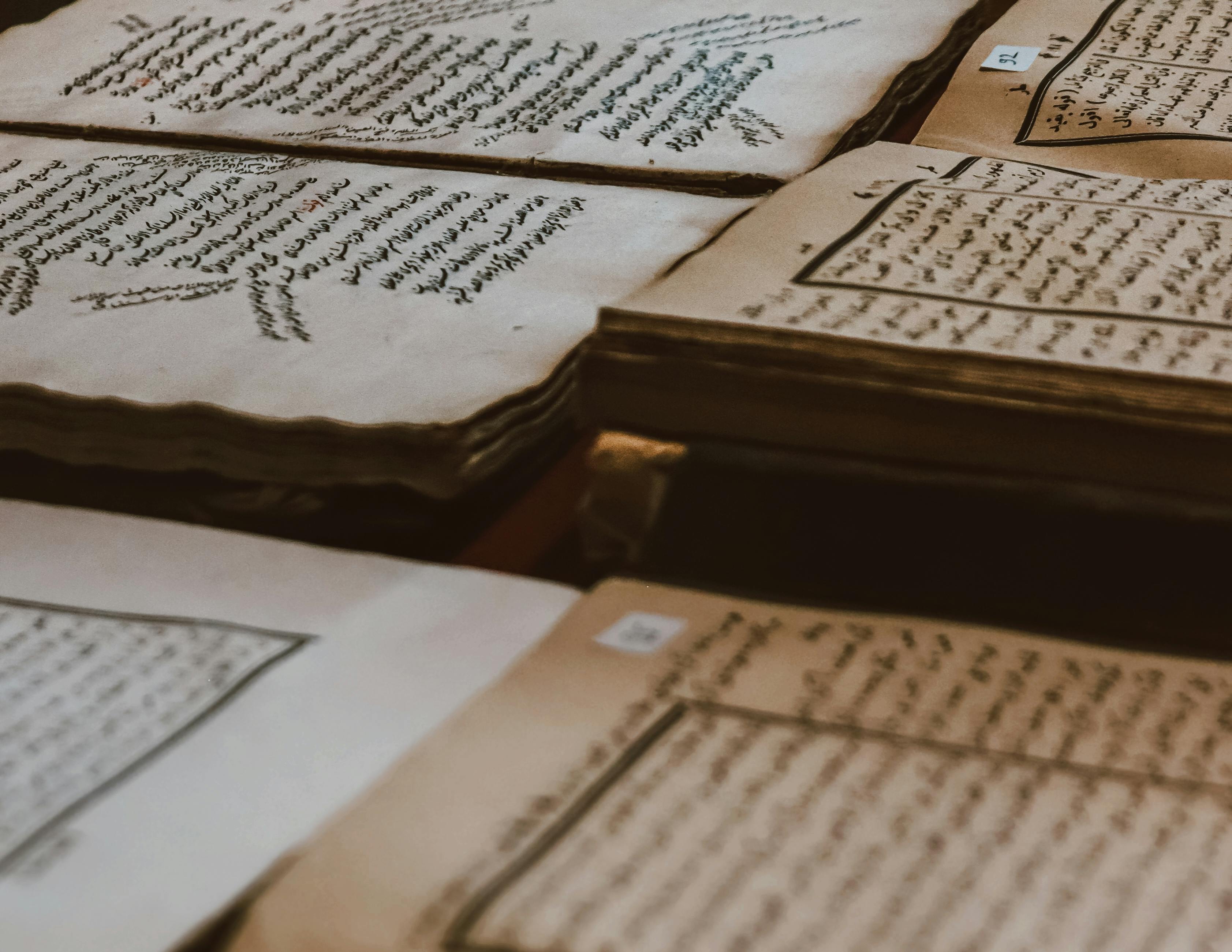 The Archive — cross-cultural wisdom library